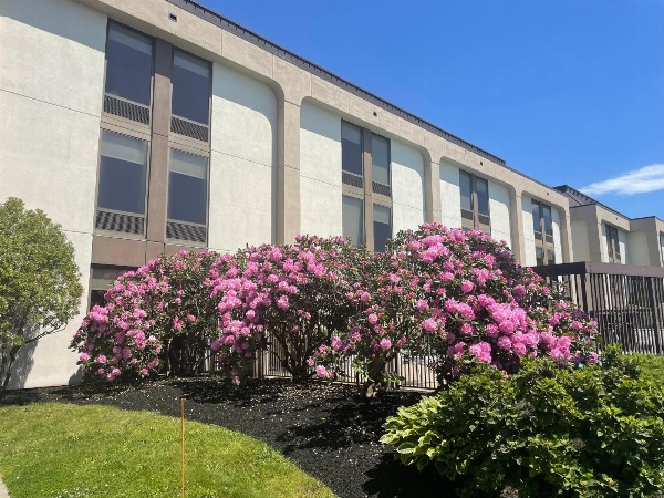 Hampton Inn By Hilton New Bedford/Fairhaven image 2