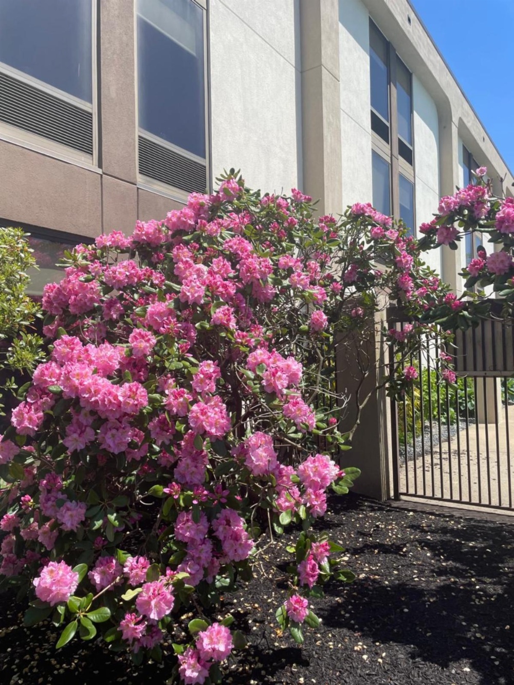 Hampton Inn By Hilton New Bedford/Fairhaven